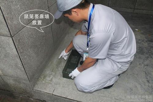 介紹怎麽判斷家裏有老鼠及滅鼠方法