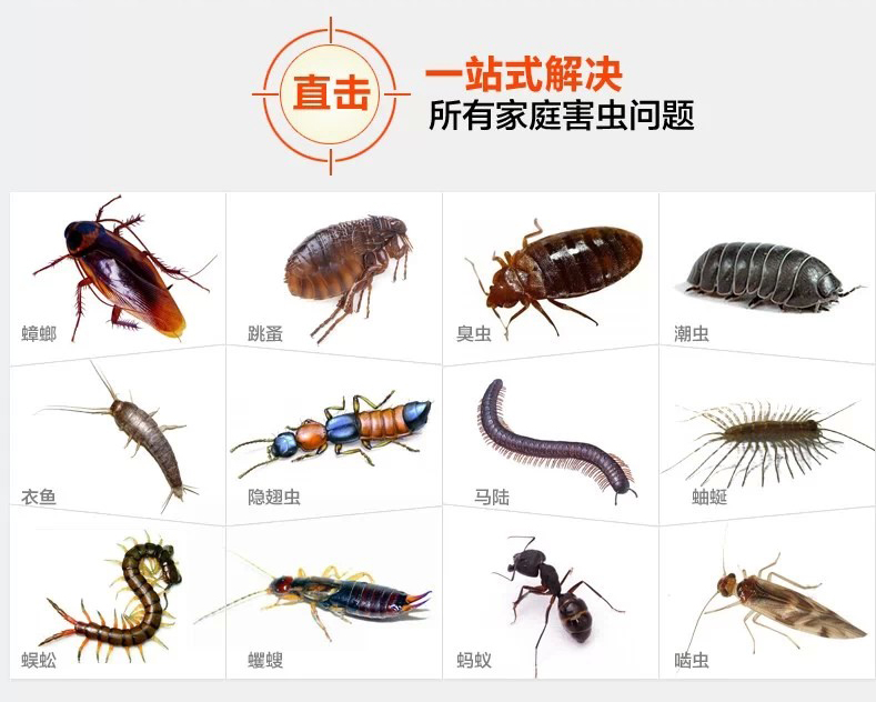 跳蚤的來源和防治方法  ​