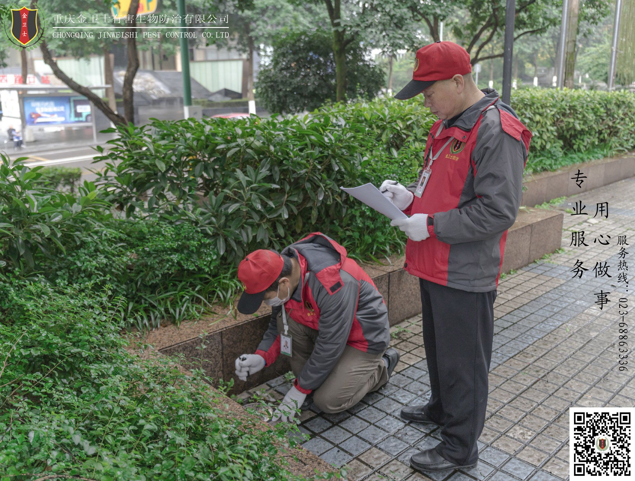 消滅白蟻什麽辦法有效