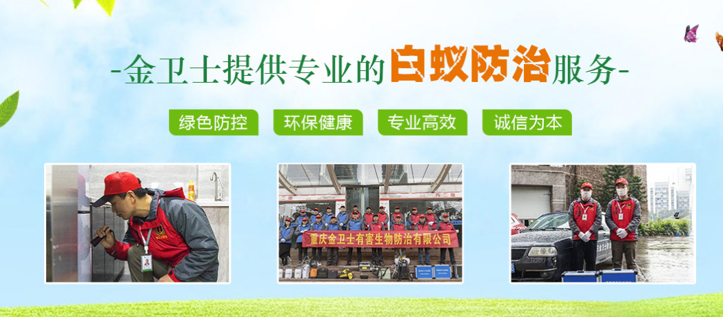 春季3月時期，白（bái）蟻消殺工作任（rèn）重而道遠  ​