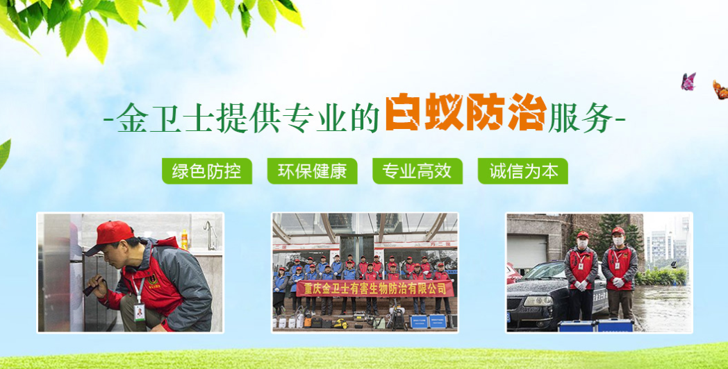 重慶滅鼠公司教您安全使用滅鼠（shǔ）藥
