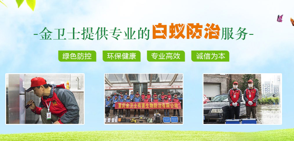 白蟻危害及防治妙招（zhāo）小課堂