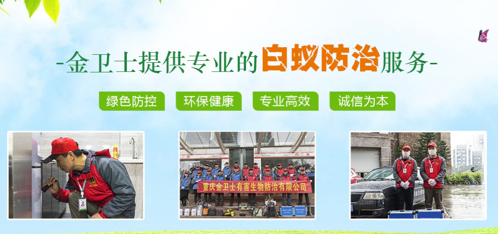 白蟻的（de）生活環境和（hé）生長繁殖