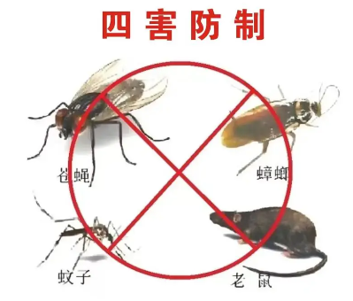 床（chuáng）墊易滋生吸（xī）血臭蟲（chóng），怎（zěn）樣（yàng）預防呢？